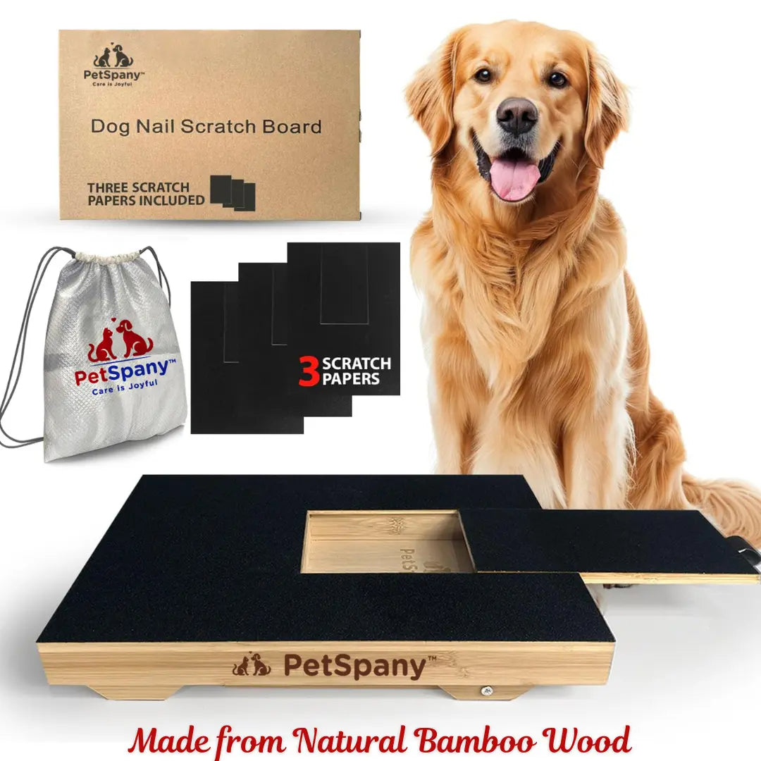 Petspany Dog Nail Scratch Board 14.55X10.39 Inch (37X26.4 Cm) - Bamboo Wood Scratch Pad with Treat Box - Stress-Free Dog Scratch Pad for Nails - Scratching Nail File Board